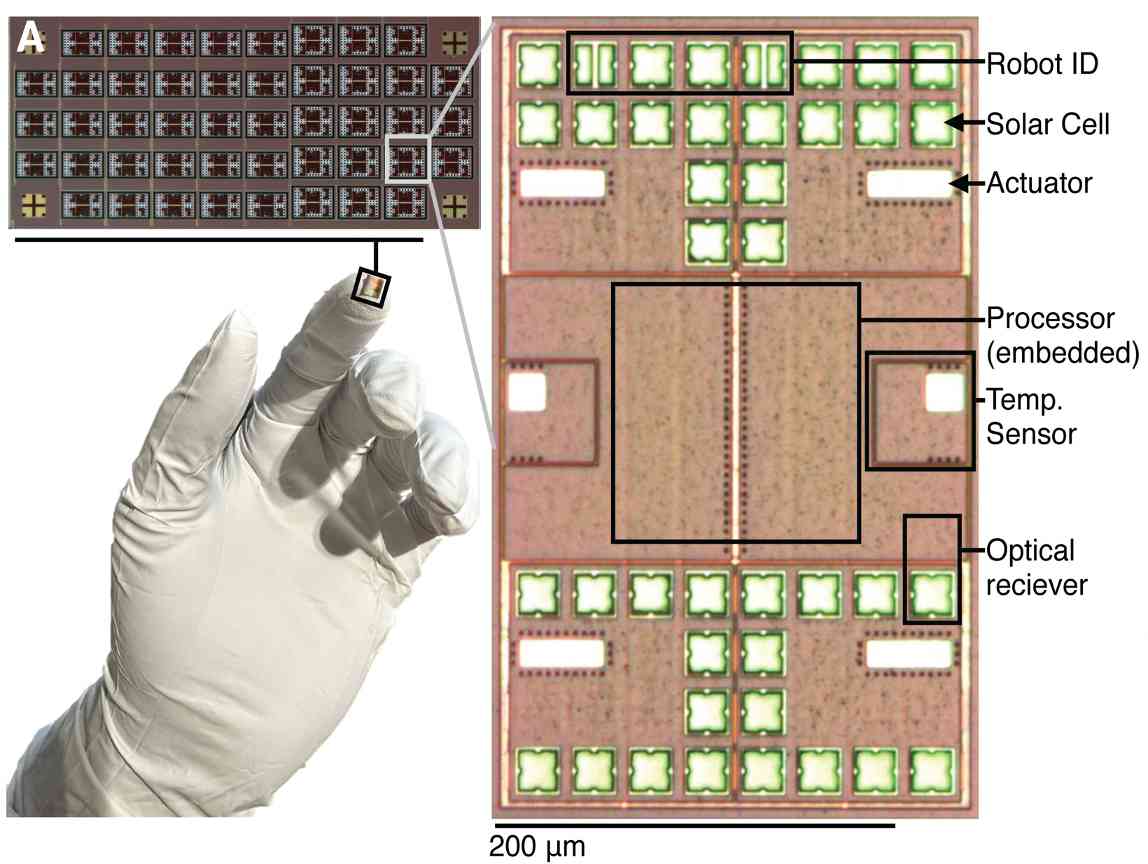 研究人员发明亚毫米级机器人 能够感知、思考并自主行动。