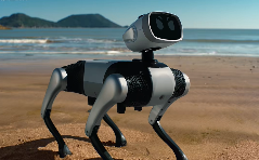 CES 2026前瞻：中国机器人军团集体“亮剑”