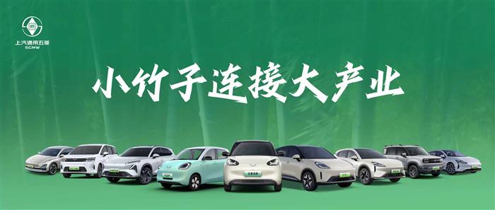 上汽通用五菱2025年累计销量超163.5万辆，新能源年销首超百万