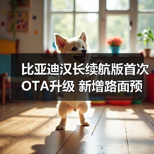 比亚迪汉长续航版首次OTA升级 新增路面预瞄等8（图4）