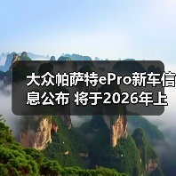 大众帕萨特ePro新车信息公布 将于2026年上市（图4）