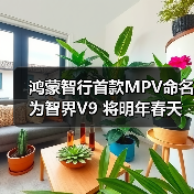 鸿蒙智行首款MPV命名为智界V9 将明年春天发布(图1) 鸿蒙智行首款MPV命名为智界V9 将明年春天发布(图1)