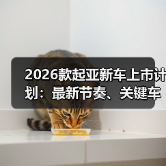 2026款起亚新车上市计划:最新节奏、关键车型与下单避坑指南(图4) 2026款起亚新车上市计划:最新节奏、关键车型与下单避坑指南(图4)