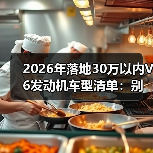 2026年落地30万以内V6发动机车型清单:别被“V6=烧钱”吓退(图3) 2026年落地30万以内V6发动机车型清单:别被“V6=烧钱”吓退(图3)
