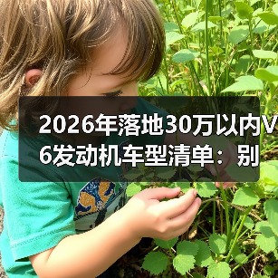 2026年落地30万以内V6发动机车型清单:别被“V6=烧钱”吓退(图4) 2026年落地30万以内V6发动机车型清单:别被“V6=烧钱”吓退(图4)