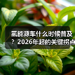 氢能源车什么时候普及?2026年起的关键拐点与真实落地路径(图2) 氢能源车什么时候普及?2026年起的关键拐点与真实落地路径(图2)