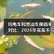 纯电车和燃油车保值率对比:2026年买车不亏的7个真相(图1) 纯电车和燃油车保值率对比:2026年买车不亏的7个真相(图1)