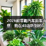2026款零跑汽车新车消息:我在4S店听到的5个关键变化与避坑清单(图1) 2026款零跑汽车新车消息:我在4S店听到的5个关键变化与避坑清单(图1)