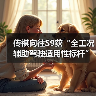 传祺向往S9获“全工况辅助驾驶适用性标杆”奖项(图3) 传祺向往S9获“全工况辅助驾驶适用性标杆”奖项(图3)