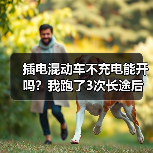 插电混动车不充电能开吗?我跑了3次长途后给你讲明白(图4) 插电混动车不充电能开吗?我跑了3次长途后给你讲明白(图4)