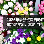 2026年最新汽车自动泊车功能实测：真能“闭眼停”？我用38次倒车给答案（图4）