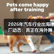 2026年汽车行业出海建厂动态:真正在海外赚钱的,不是“跑得快”而是“落得稳”(图1) 2026年汽车行业出海建厂动态:真正在海外赚钱的,不是“跑得快”而是“落得稳”(图1)