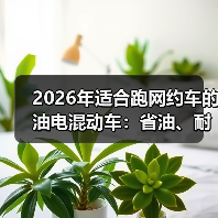 2026年适合跑网约车的油电混动车：省油、耐造、回本快的选车实战（图2）