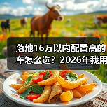 落地16万以内配置高的车怎么选？2026年我用3次试驾踩坑换来的清单（图1）