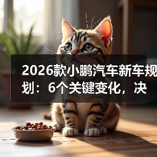 2026款小鹏汽车新车规划:6个关键变化,决定你买不买(图3) 2026款小鹏汽车新车规划:6个关键变化,决定你买不买(图3)
