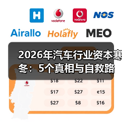 2026年汽车行业资本寒冬:5个真相与自救路线图(图4) 2026年汽车行业资本寒冬:5个真相与自救路线图(图4)