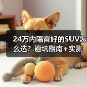 24万内隔音好的SUV怎么选？避坑指南+实测对比（图4）