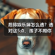 后排娱乐屏怎么选?选对这5点,孩子不闹你不累(图2) 后排娱乐屏怎么选?选对这5点,孩子不闹你不累(图2)