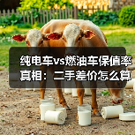 纯电车vs燃油车保值率真相:二手差价怎么算才不亏?(图4) 纯电车vs燃油车保值率真相:二手差价怎么算才不亏?(图4)
