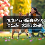 落地24万内隔音好SUV怎么选？实测对比揭秘（图2）