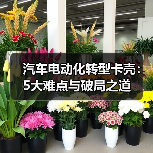 汽车电动化转型卡壳：5大难点与破局之道（图2）