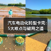 汽车电动化转型卡壳：5大难点与破局之道（图3）