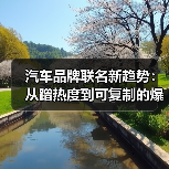 汽车品牌联名新趋势:从蹭热度到可复制的爆款公式(图2) 汽车品牌联名新趋势:从蹭热度到可复制的爆款公式(图2)