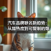 汽车品牌联名新趋势:从蹭热度到可复制的爆款公式(图3) 汽车品牌联名新趋势:从蹭热度到可复制的爆款公式(图3)