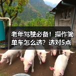 老年驾驶必备!操作简单车怎么选?选对5点省心又安心(图3) 老年驾驶必备!操作简单车怎么选?选对5点省心又安心(图3)