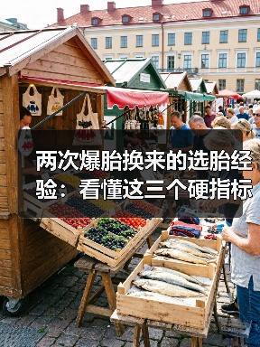 两次爆胎换来的选胎经验:看懂这三个硬指标才是王道(图1) 两次爆胎换来的选胎经验:看懂这三个硬指标才是王道(图1)