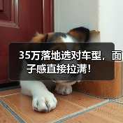 35万落地选对车型,面子感直接拉满!(图1) 35万落地选对车型,面子感直接拉满!(图1)