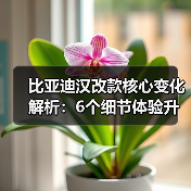 比亚迪汉改款核心变化解析:6个细节体验升级你必须知道(图2) 比亚迪汉改款核心变化解析:6个细节体验升级你必须知道(图2)