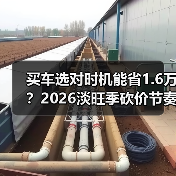 买车选对时机能省1.6万?2026淡旺季砍价节奏全解析(图3) 买车选对时机能省1.6万?2026淡旺季砍价节奏全解析(图3)