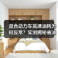 混合动力车高速油耗为何反常?实测揭秘省油真谛(图2) 混合动力车高速油耗为何反常?实测揭秘省油真谛(图2)