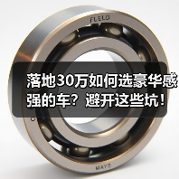 落地30万如何选豪华感强的车?避开这些坑!(图2) 落地30万如何选豪华感强的车?避开这些坑!(图2)