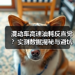 混动车高速油耗反直觉？实测数据揭秘与避坑指南（图3）