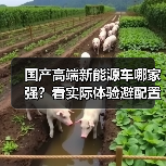 国产高端新能源车哪家强?看实际体验避配置陷阱(图2) 国产高端新能源车哪家强?看实际体验避配置陷阱(图2)