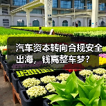汽车资本转向合规安全出海，钱离整车梦？