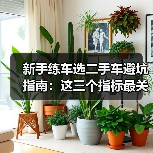 新手练车选二手车避坑指南:这三个指标最关键(图2) 新手练车选二手车避坑指南:这三个指标最关键(图2)