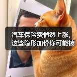 汽车保险费悄然上涨,这些隐形加价你可能被多收了(图1) 汽车保险费悄然上涨,这些隐形加价你可能被多收了(图1)
