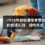 2026年新能源车冬季续航衰减实测:掉电焦虑真相全解析(图4) 2026年新能源车冬季续航衰减实测:掉电焦虑真相全解析(图4)