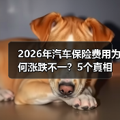 2026年汽车保险费用为何涨跌不一?5个真相教你省下冤枉钱(图2) 2026年汽车保险费用为何涨跌不一?5个真相教你省下冤枉钱(图2)