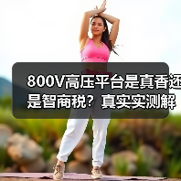 800V高压平台是真香还是智商税？真实实测解析纯电车快充能耗与维修难题