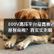 800V高压平台是真香还是智商税?真实实测解析纯电车快充能耗与维修难题(图2) 800V高压平台是真香还是智商税?真实实测解析纯电车快充能耗与维修难题(图2)