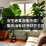 女生选车别看外观!小型燃油车好停好开全攻略(图2) 女生选车别看外观!小型燃油车好停好开全攻略(图2)
