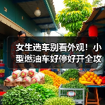 女生选车别看外观!小型燃油车好停好开全攻略(图3) 女生选车别看外观!小型燃油车好停好开全攻略(图3)