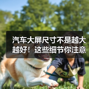 汽车大屏尺寸不是越大越好!这些细节你注意了吗(图3) 汽车大屏尺寸不是越大越好!这些细节你注意了吗(图3)