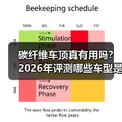 碳纤维车顶真有用吗?2026年评测哪些车型是“硬核”轻量化(图1) 碳纤维车顶真有用吗?2026年评测哪些车型是“硬核”轻量化(图1)
