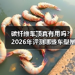 碳纤维车顶真有用吗?2026年评测哪些车型是“硬核”轻量化(图3) 碳纤维车顶真有用吗?2026年评测哪些车型是“硬核”轻量化(图3)