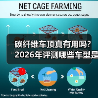 碳纤维车顶真有用吗?2026年评测哪些车型是“硬核”轻量化(图4) 碳纤维车顶真有用吗?2026年评测哪些车型是“硬核”轻量化(图4)
